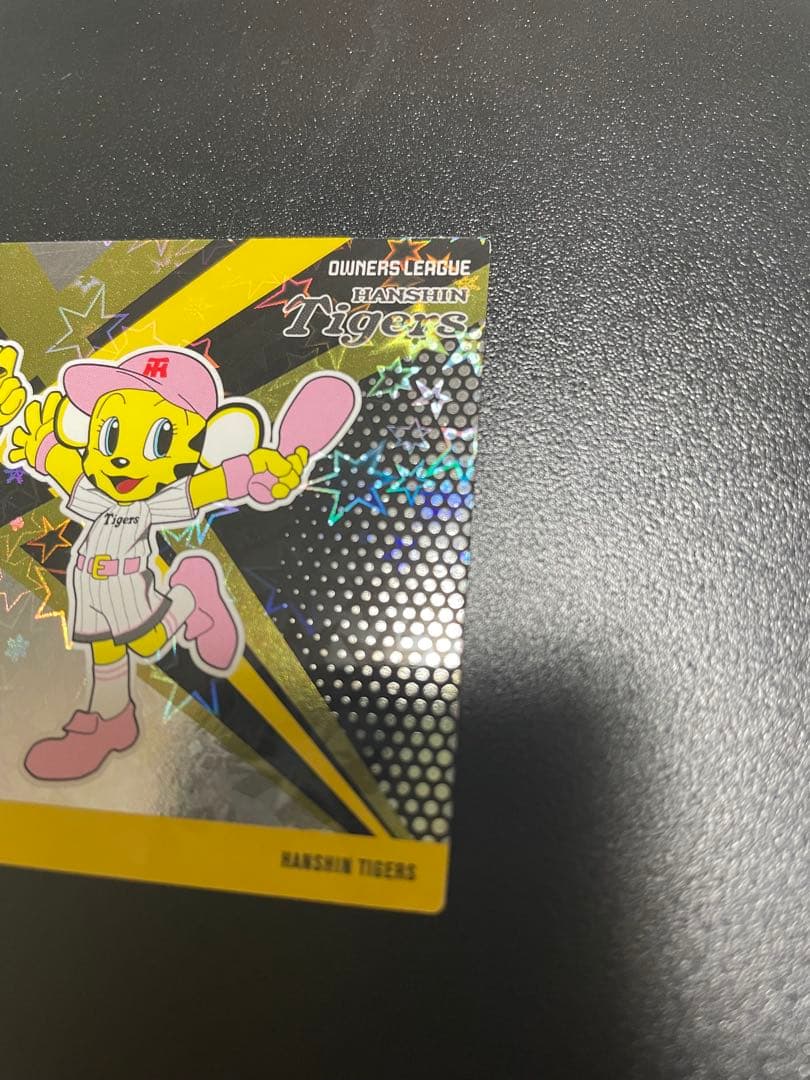 最終価格！OLP18 アイドルカード　阪神タイガース