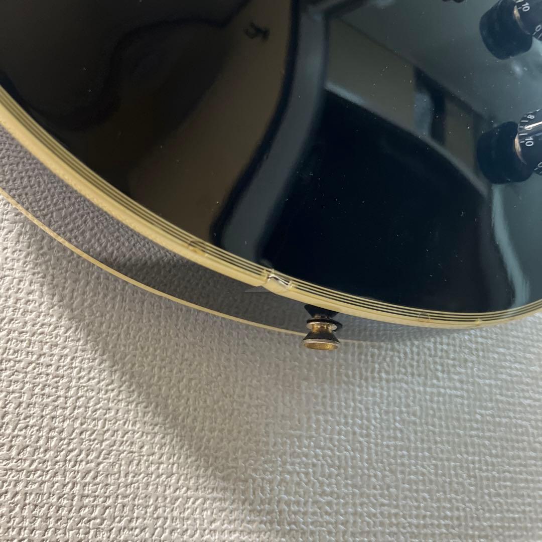 バーニー　エレキギター