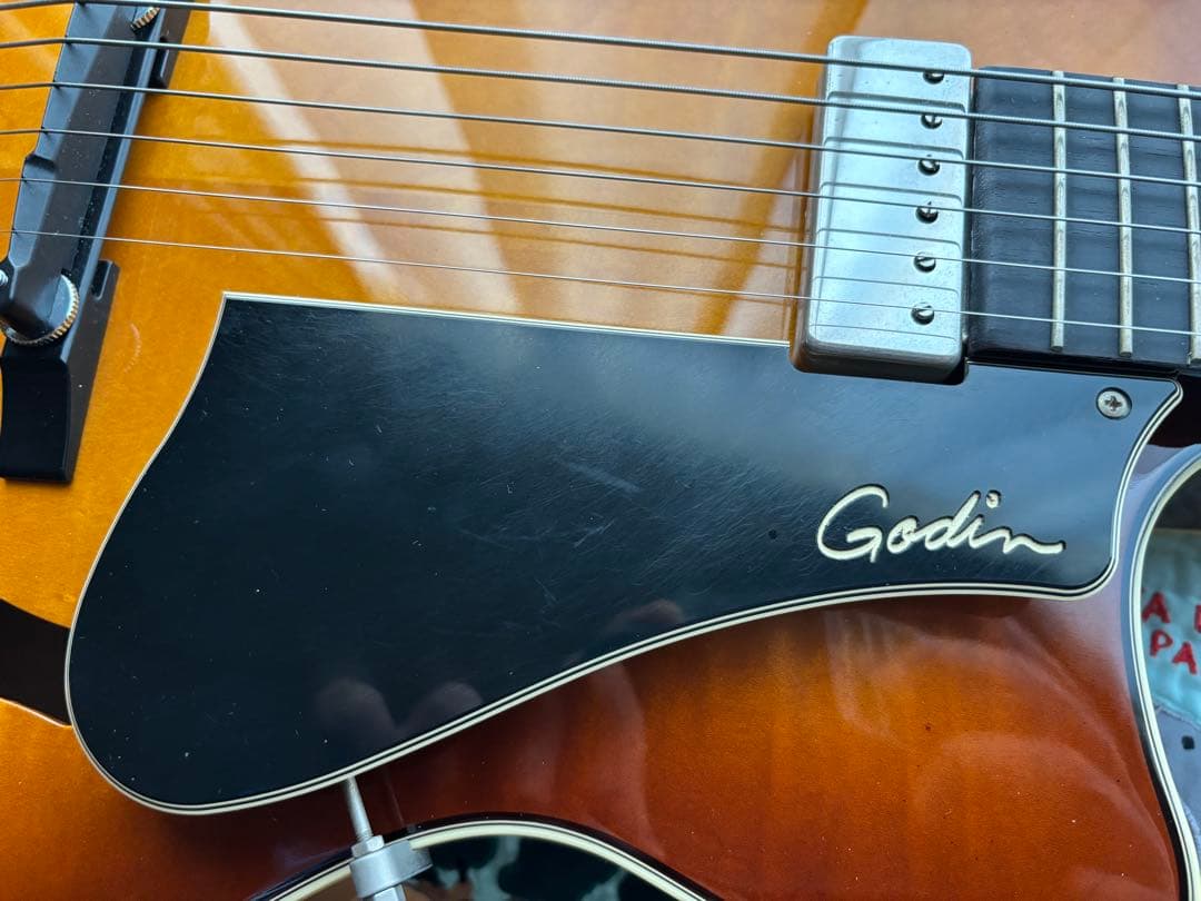 ゴダン Godin 5th Avenue Jazz 希少フルアコギター