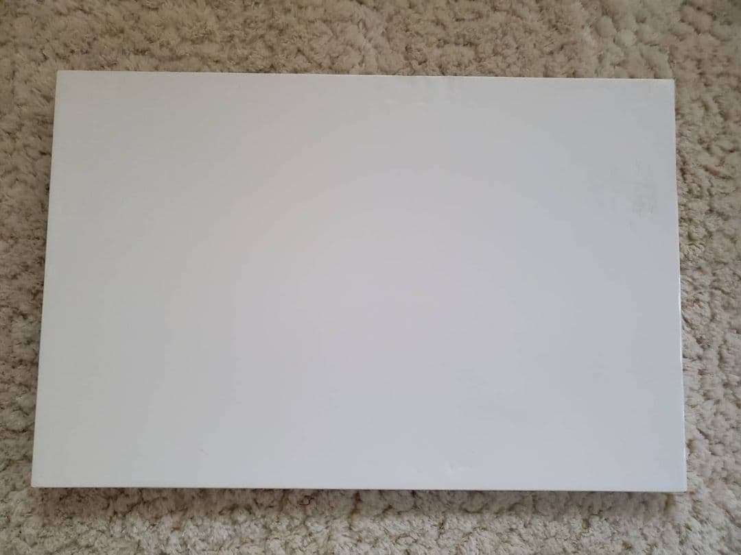 渡辺美香子 VISION OF LOVE　絵画