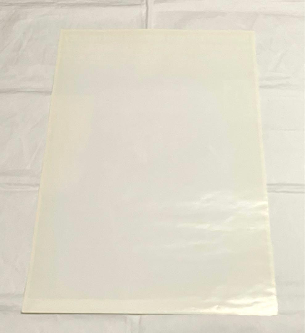 thee michelle gun elephant B2ポスター2枚 セット