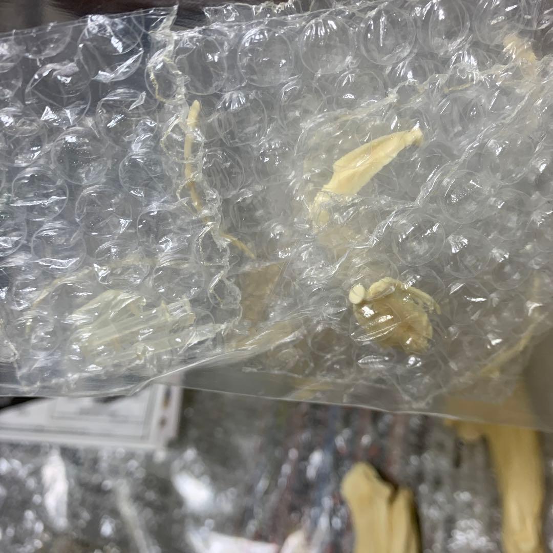 竹谷隆之　HOPPER & PUSHER HOPPER ガレージキット