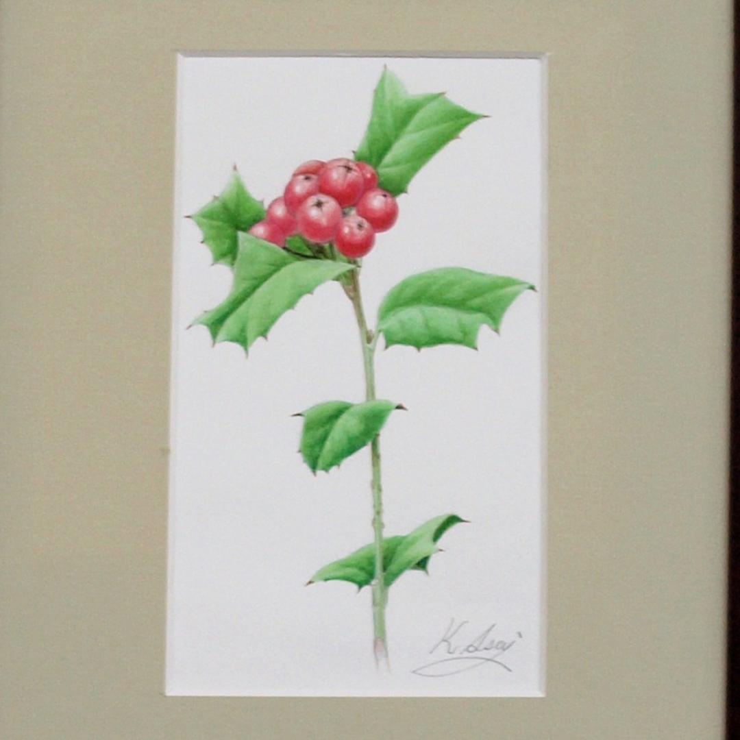 【絵画】ボタニカルアート　「ナンテンヒイラギ」原画