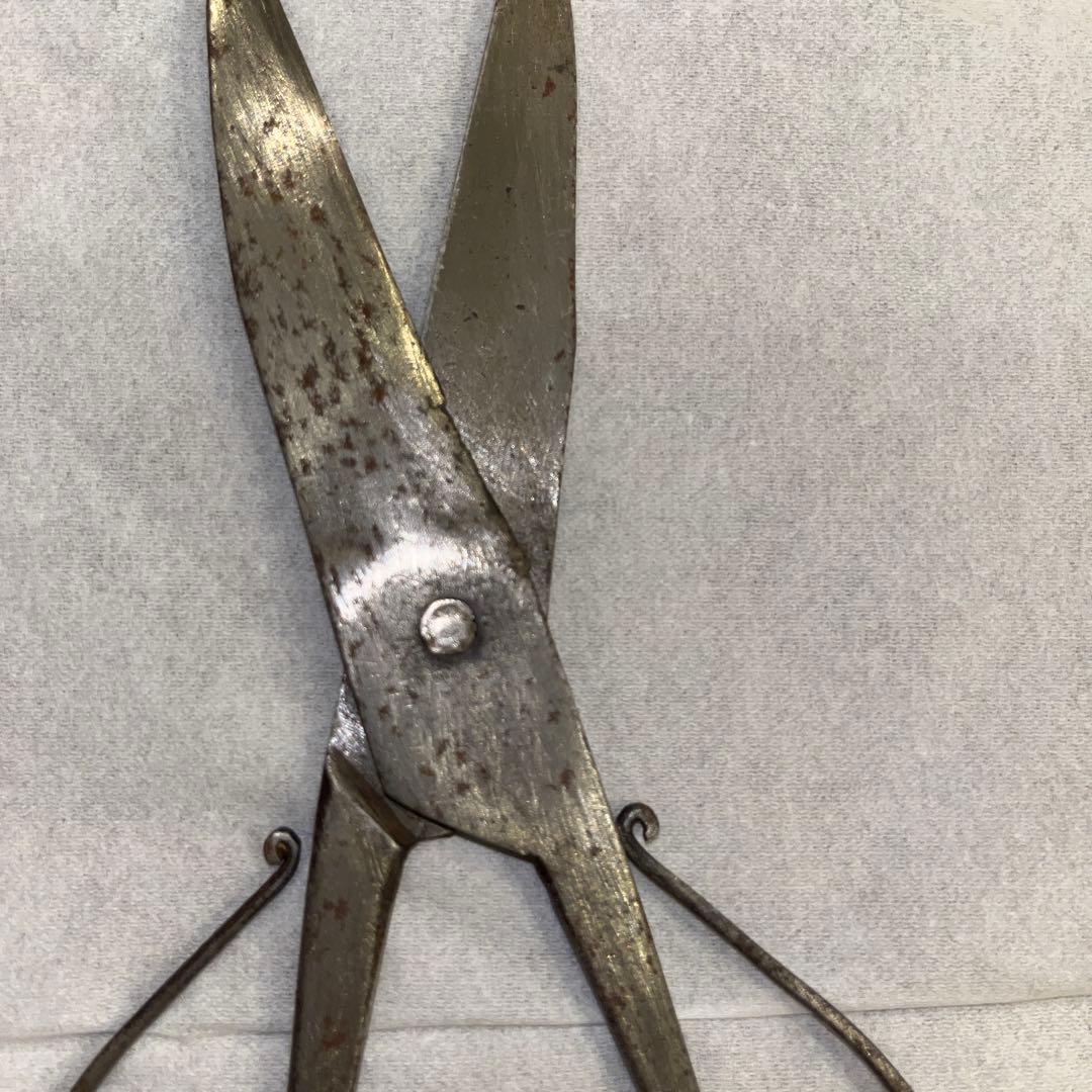 種子鋏　本種子鋏　骨董　ヴィンテージ　アンティーク　ハサミ　はさみ　レトロ