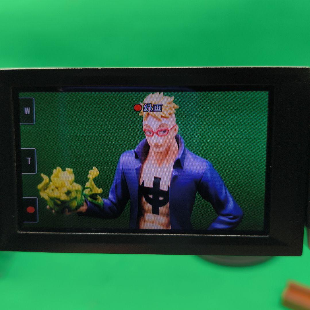 【動作確認済】SONY ソニーHDR-CX500V Handycam