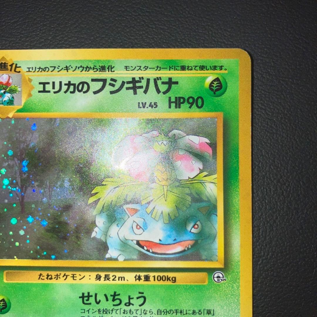 美品　旧裏　エリカのフシギバナ　キラ　ホロ