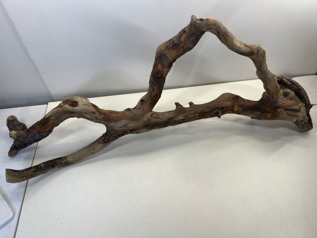 k36特大流木 アク抜き済み 爬虫類シェルター レイアウト用 登り木 インテリア