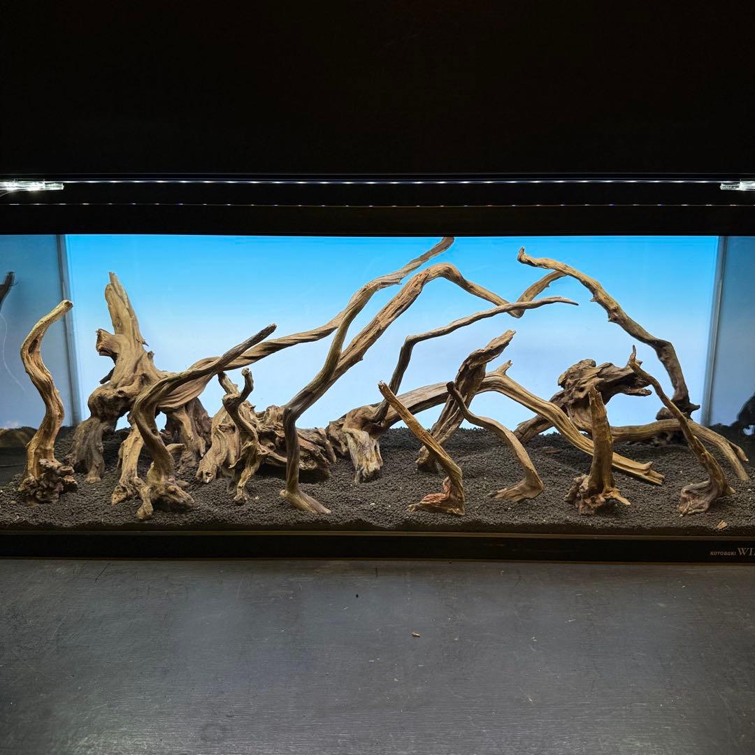 MSRW-6927 天然流木レイアウトセット　スリムウッド　アクアリウム