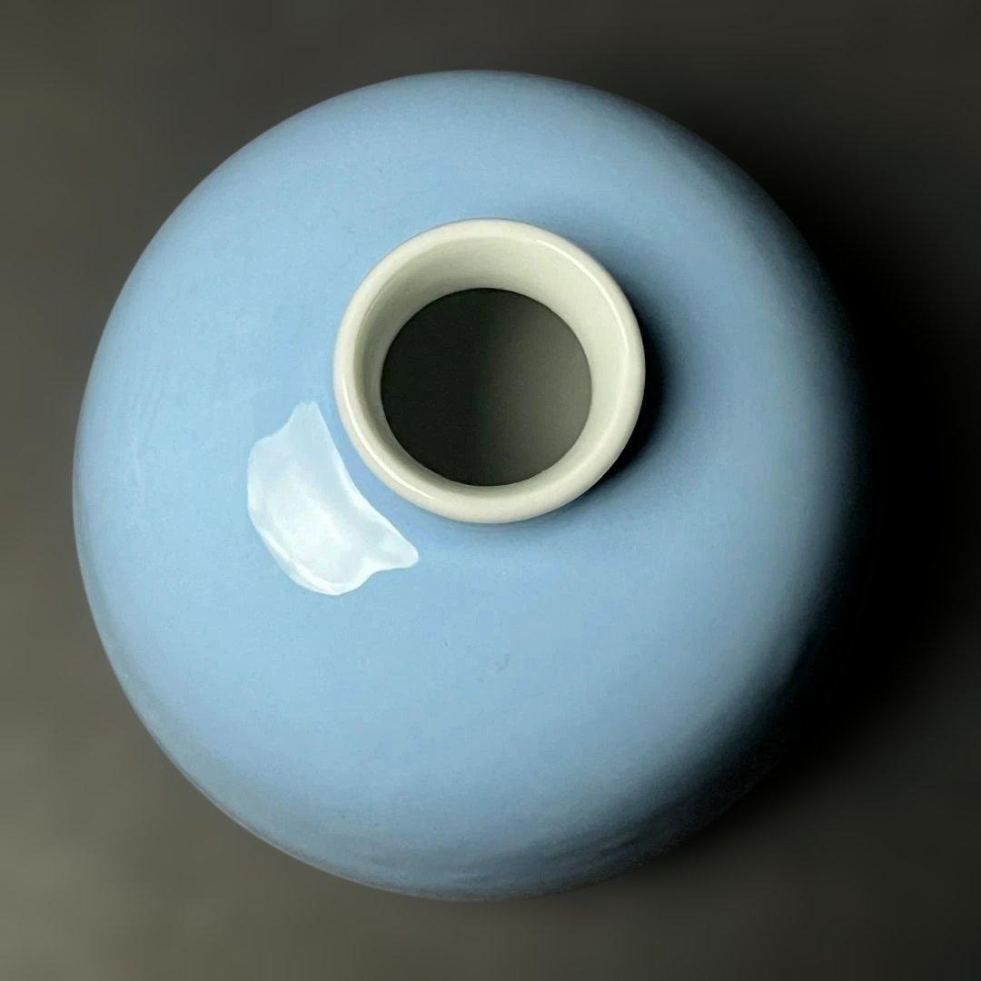 唐物 天青釉暗刻龍紋太白尊 大清康煕年製 款 中国美術 古玩 SH27