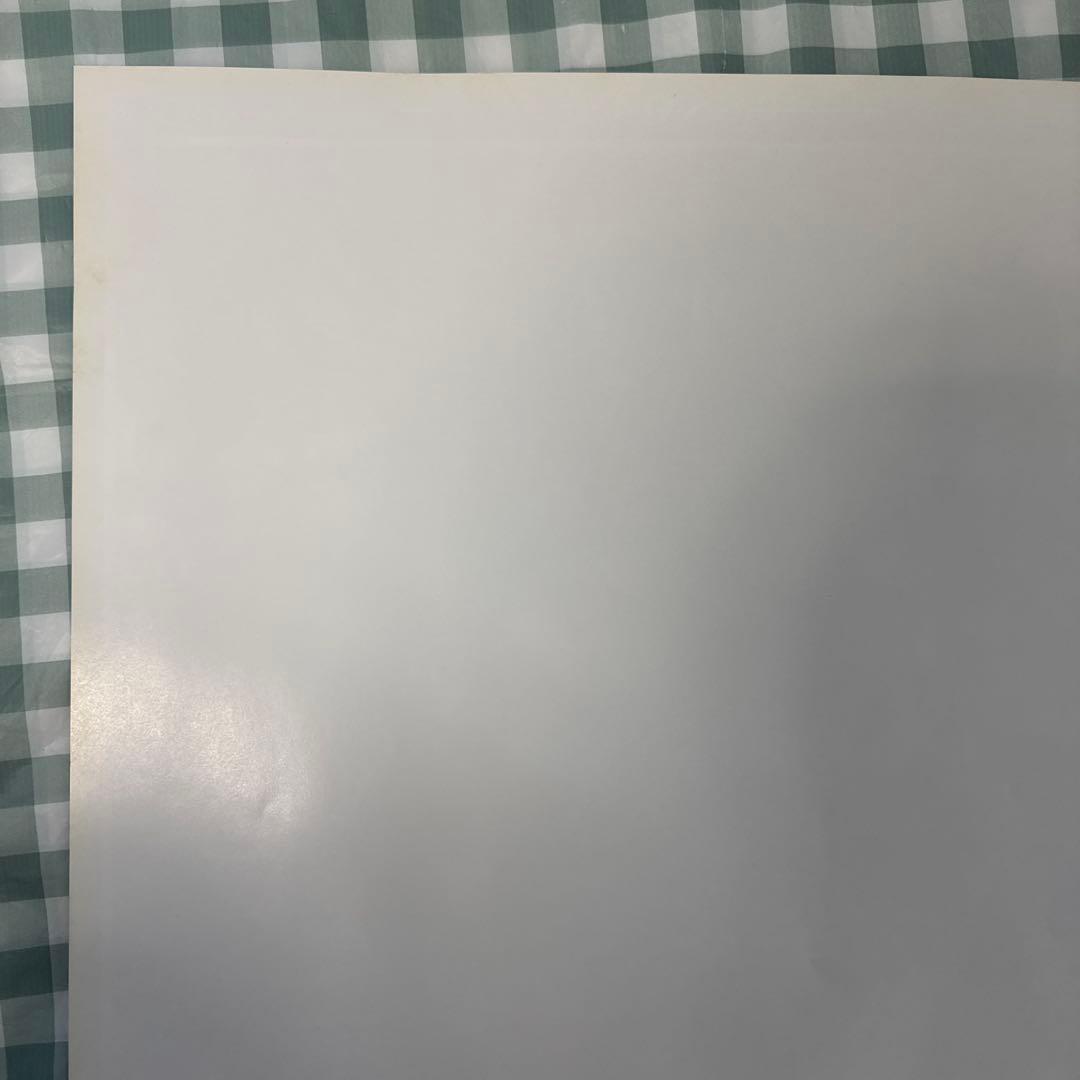 貴重・レア　ストリートファイター　コレクション　販促用　ポスター