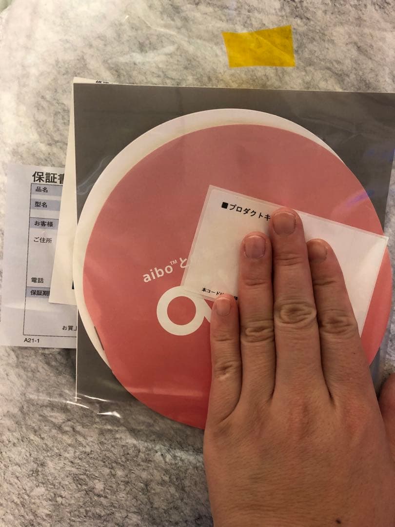 Sony aibo ロボット犬 充電器付き