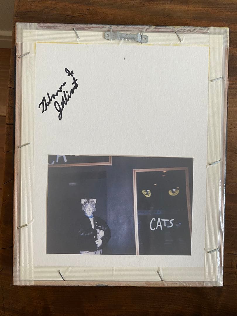 ☆Cats☆ NY ブロードウェイミュージカル　キャッツ　立体フレーム　レア品