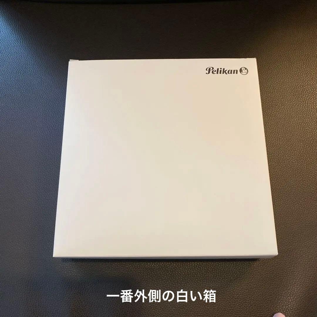 【新品・未使用】Pelikan（ペリカン）万年筆 クラシックM215 ブラック