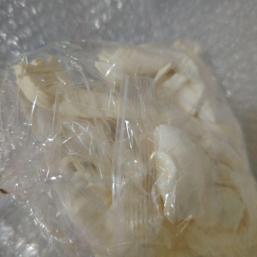 美少女戦士セーラームーン　月野うさぎ　タキシード仮面　ガレージキット　未組立