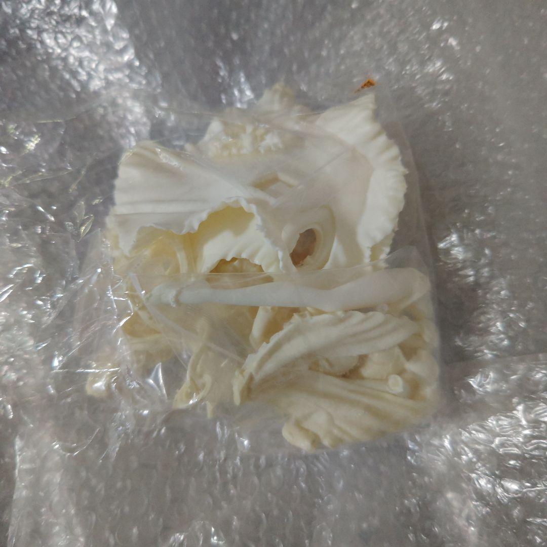 美少女戦士セーラームーン　月野うさぎ　タキシード仮面　ガレージキット　未組立