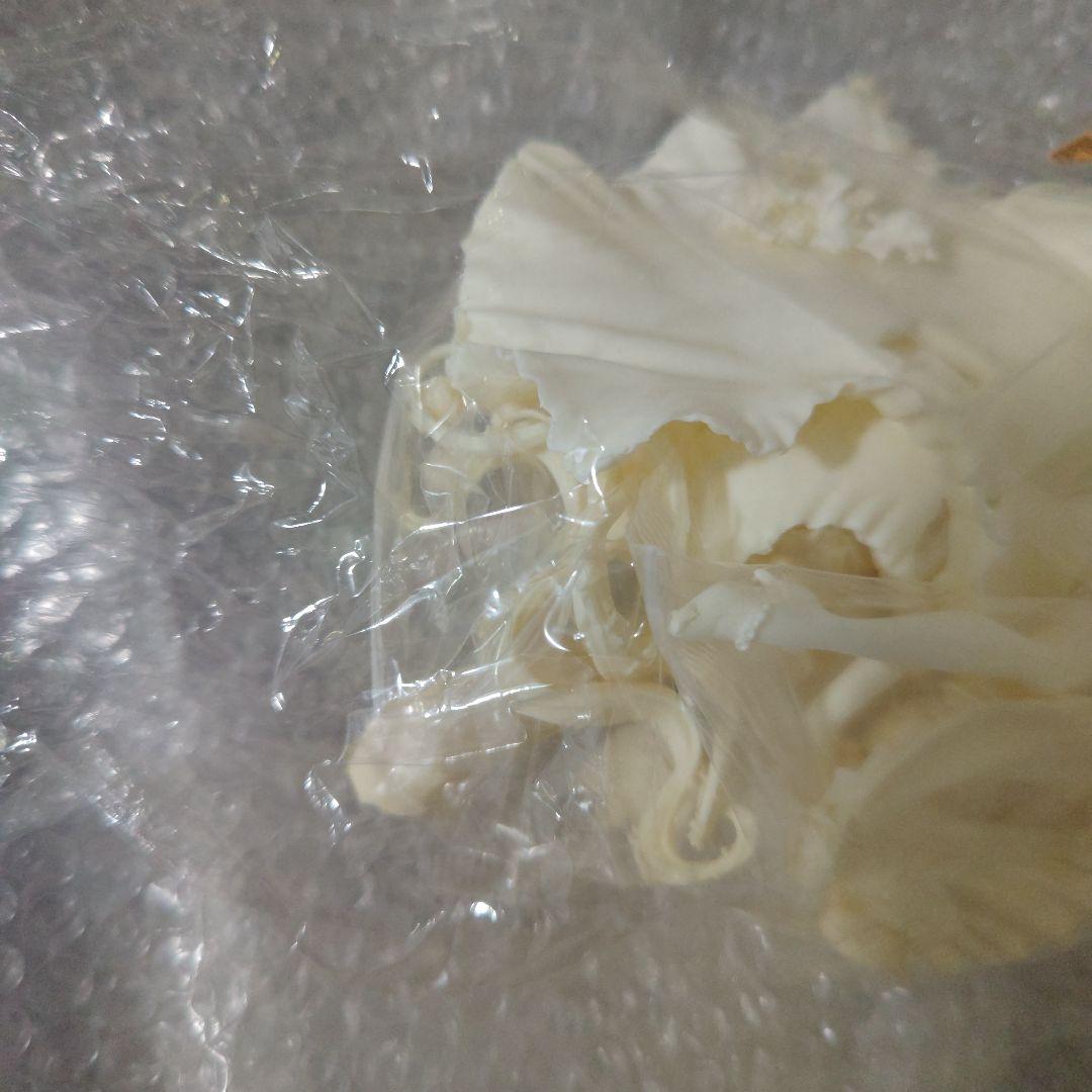 美少女戦士セーラームーン　月野うさぎ　タキシード仮面　ガレージキット　未組立