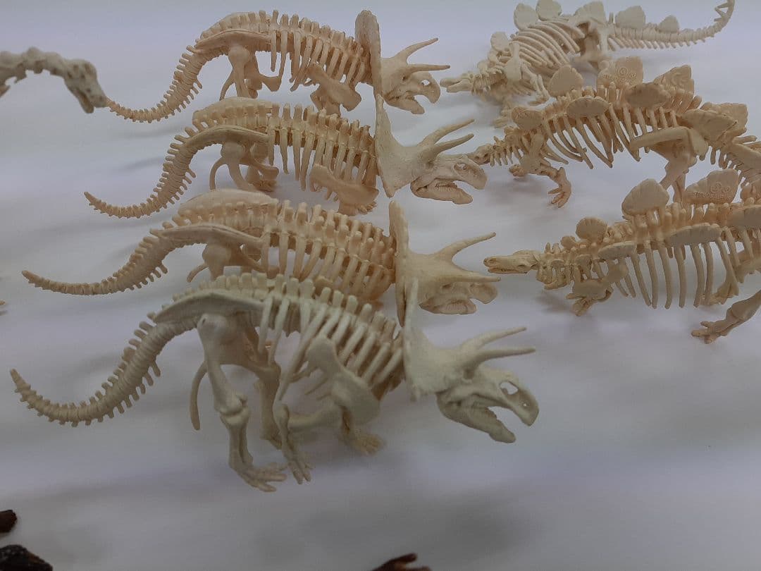 恐竜大量セットの確認用