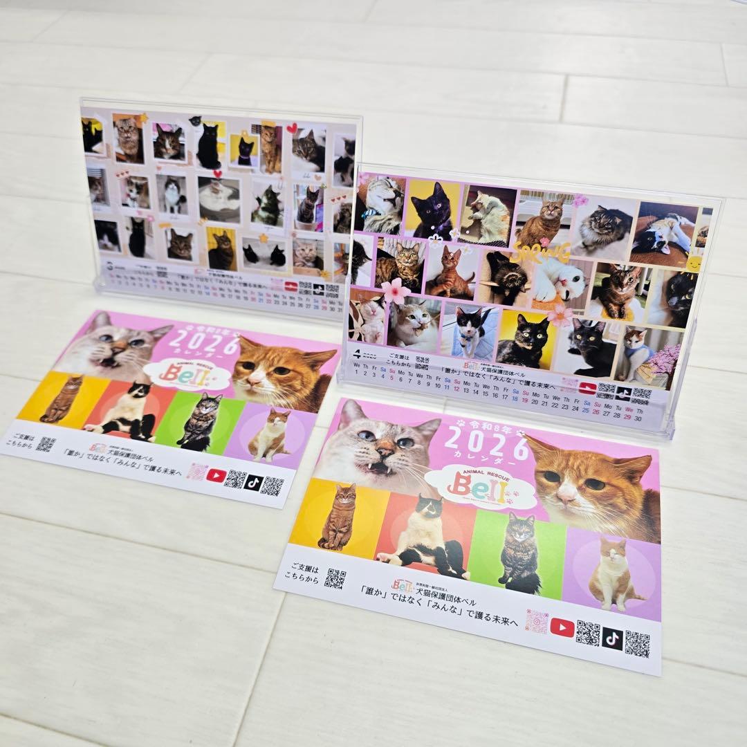 ②《猫》 卓上チャリティーカレンダー10枚セット