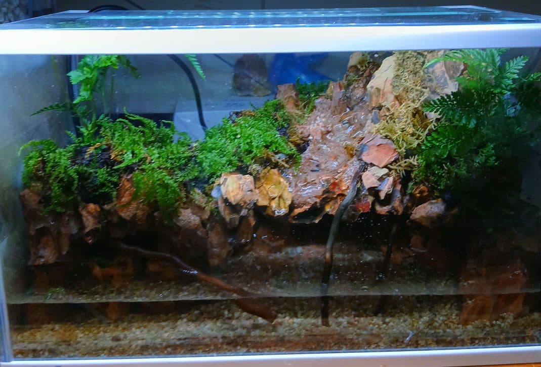 ️⭕️sale夏️⭕️アクアテラリウム 完成品 滝 中型ガラス水槽