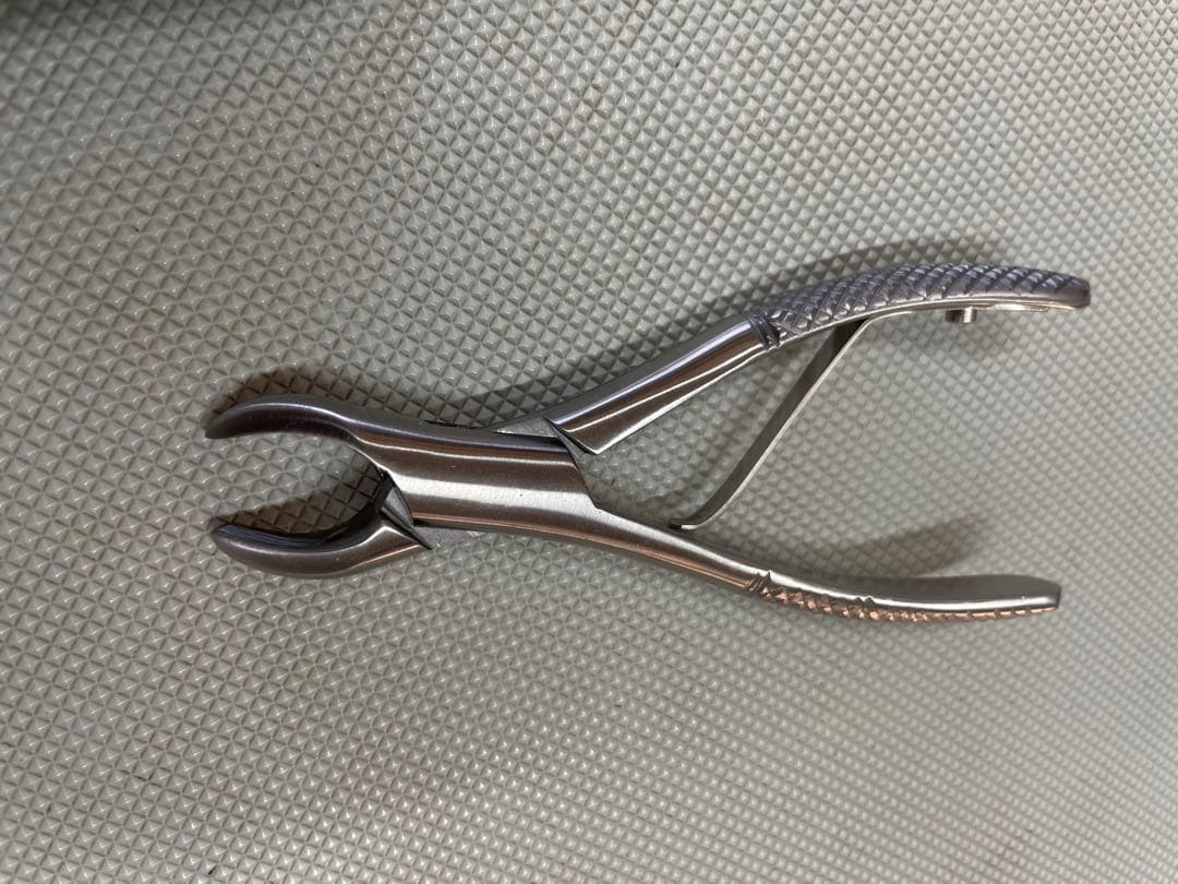 ペット用歯石取りペンチ 約15cm と　スケーラー