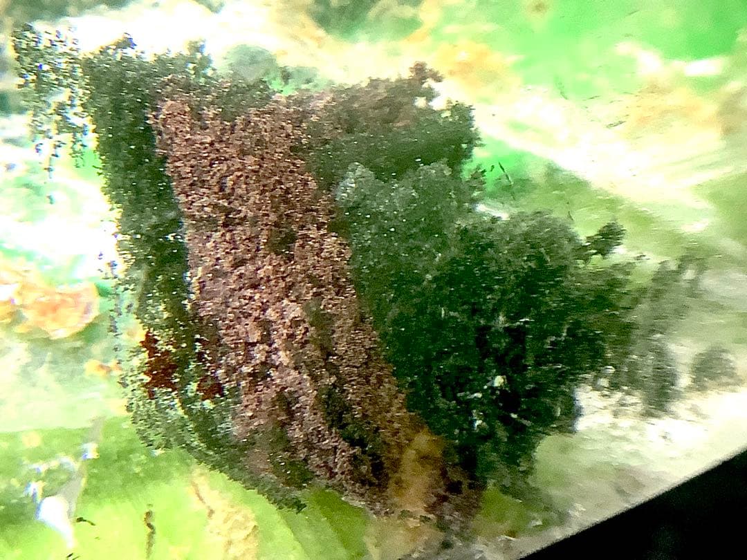 最強の浄化力　ガネッシュヒマール水晶　貴重カイラッシュ産　運気健康上昇の最高石‼️