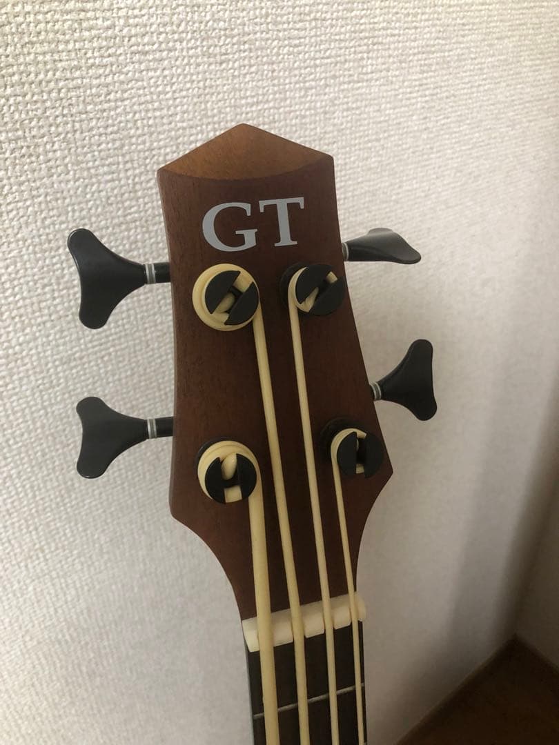 【ころぽっくる 】Gold Tone M-Bass マイクロベース