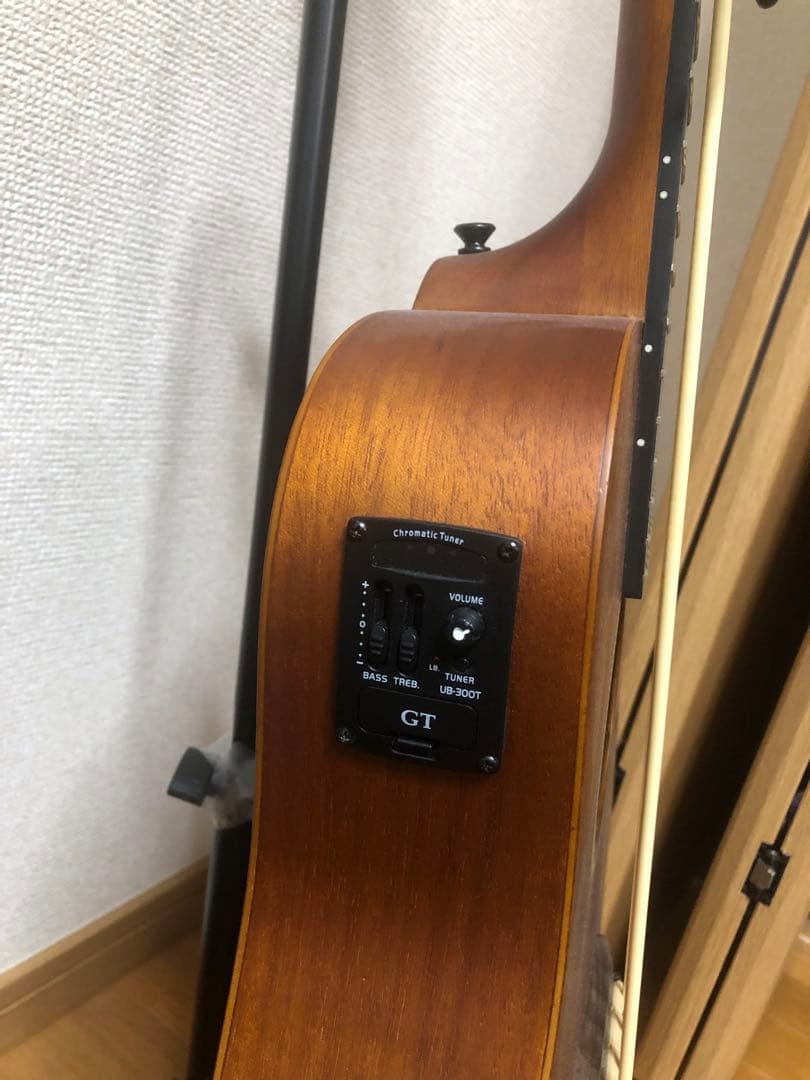 【ころぽっくる 】Gold Tone M-Bass マイクロベース