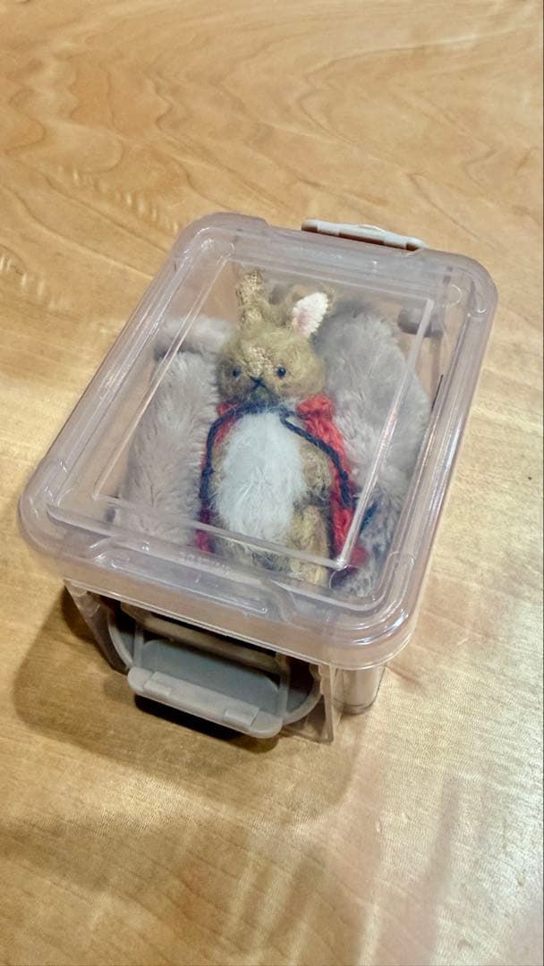 ⭐️こはるさん専用です。⭐️moriのえほん様　オレンジマントのうさぎさん