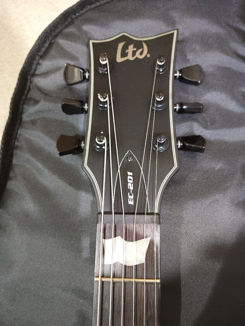 LTD　ECー201　Black Stain　ソフトケース付