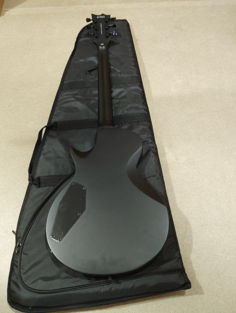 LTD　ECー201　Black Stain　ソフトケース付