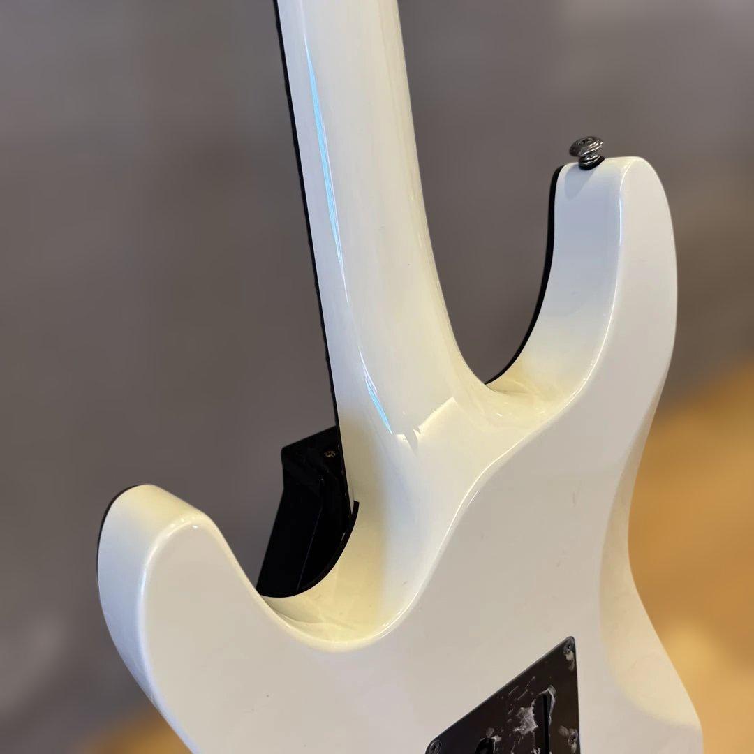 最終値引　シェクター DIAMOND シリーズセットネックEMG フロイドローズ