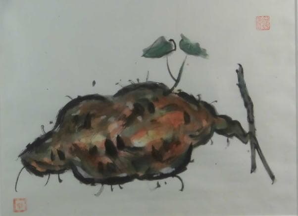 里見勝蔵　 いも