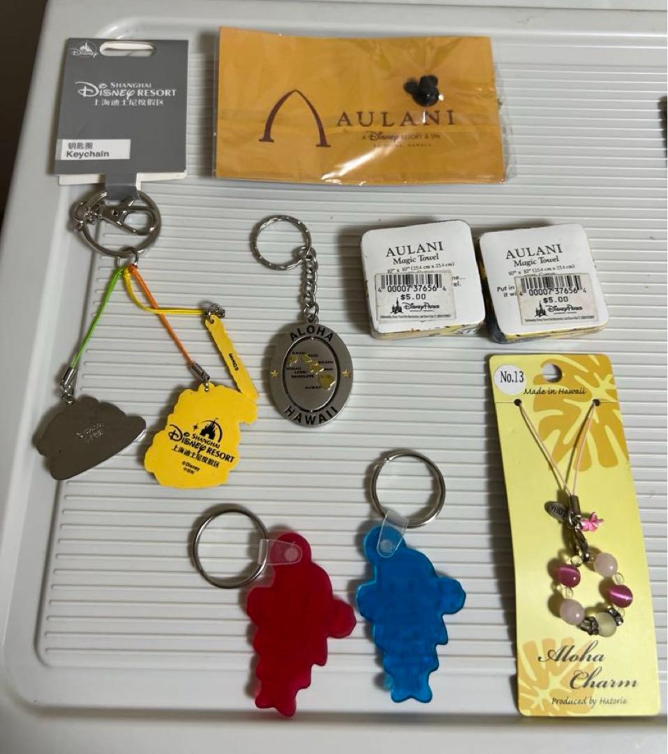 ディズニー、アウラニ（ハワイ、上海、香港）ダッフィー、シェリーメイぬいぐるみ