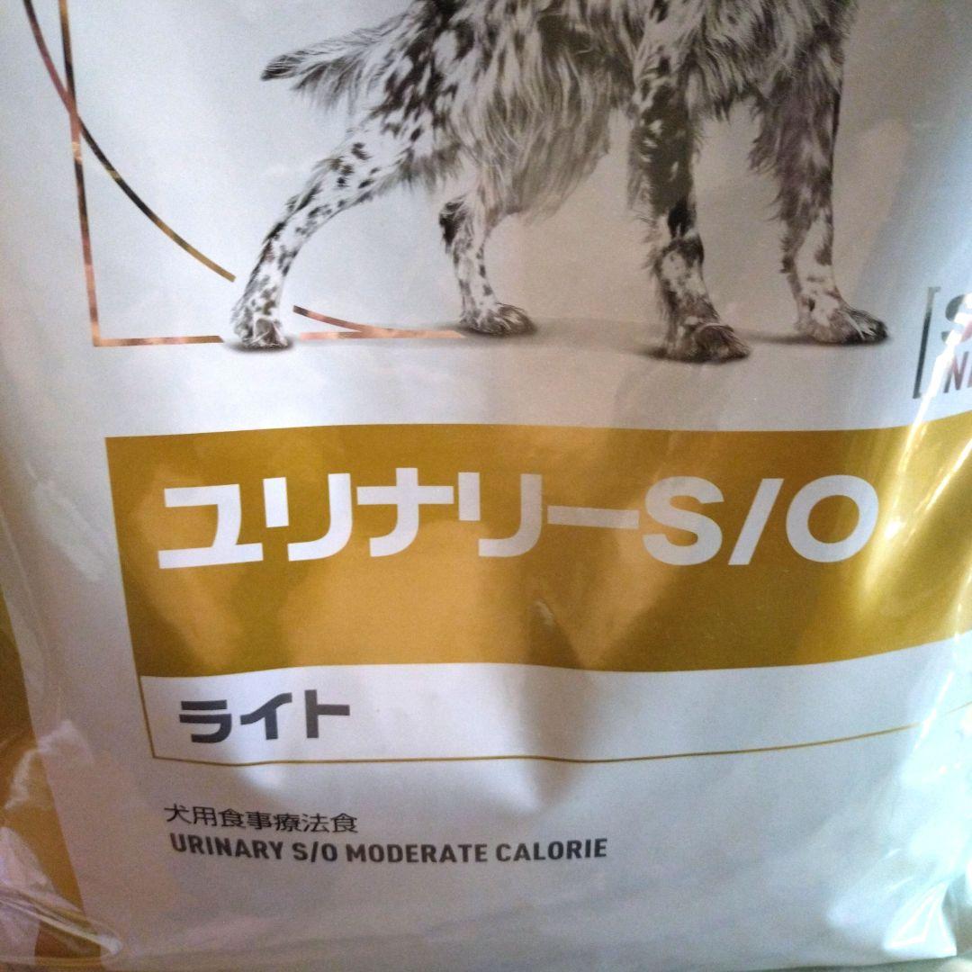 大型犬のエサ（ロイヤルカナン）