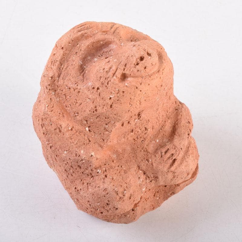 茶道具　佐々木昭楽作　一刀彫　猿　香合　共布共箱　C　8405