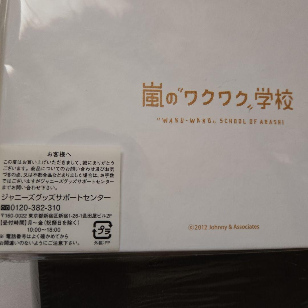 5×20NationalStadiumワクワク学校カイトThis is 嵐５点