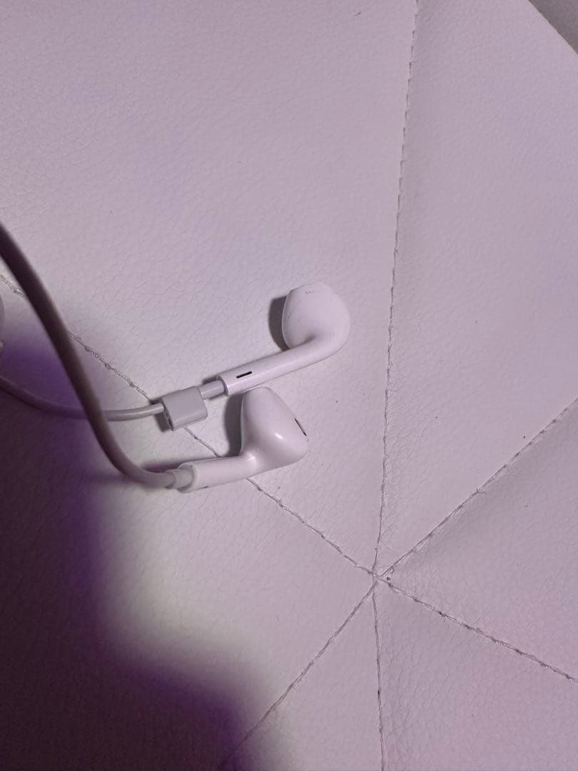 か*し様 iPhone15Pro本体＋純正充電器＋Apple純正イヤホン付き