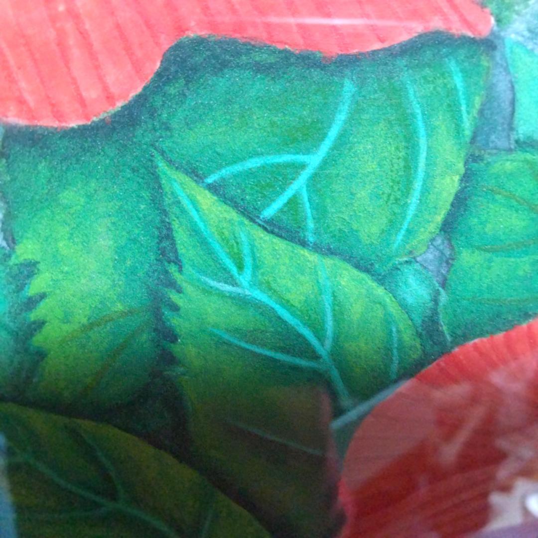 日本画 ハイビスカス アクリル アルミ額付き