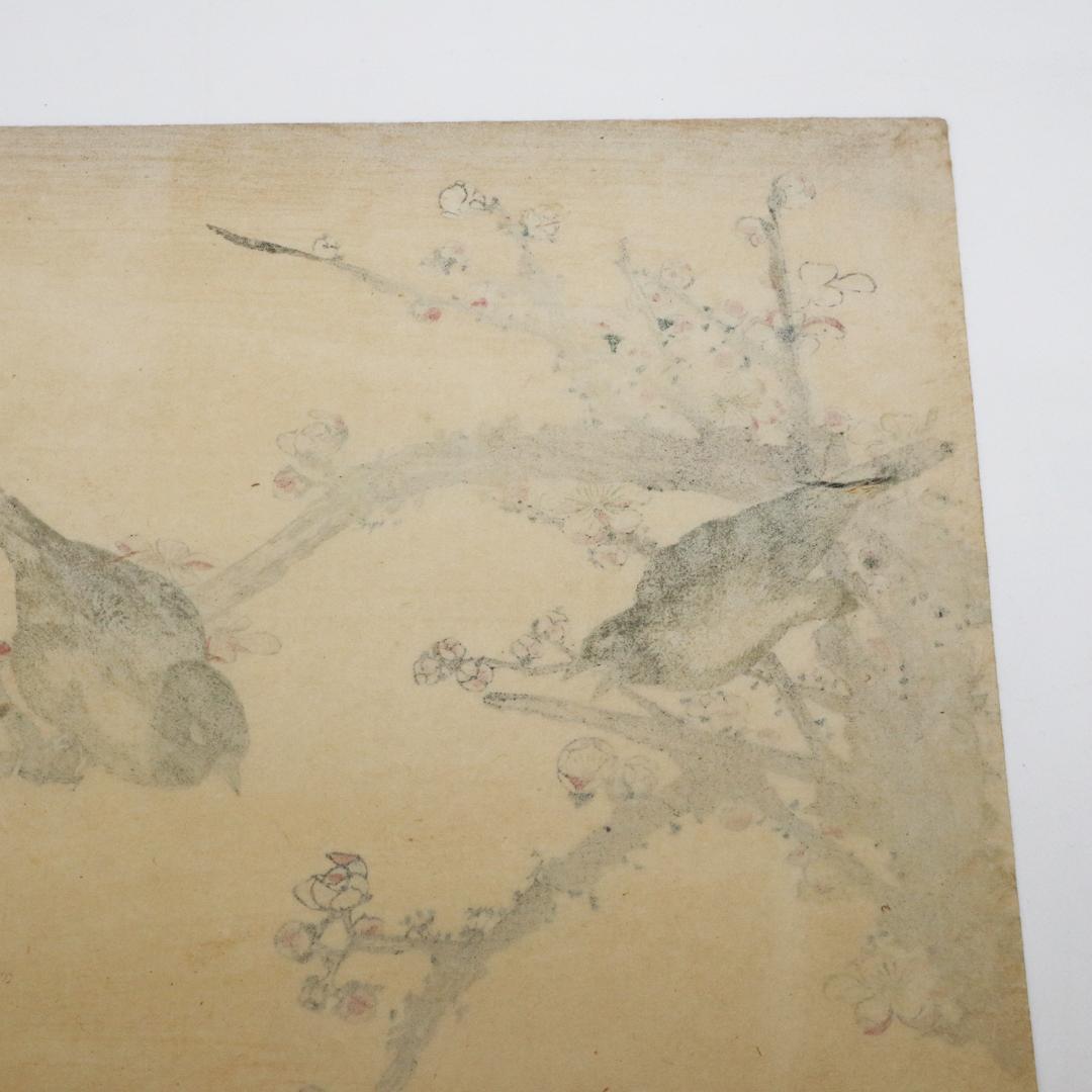 葛飾北斎　大判　木版画　花鳥図　浮世絵　梅　鳥