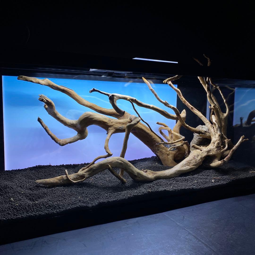 MDW-6358 ブランチウッド3本セット　90cm以上水槽用流木セット　枝流木