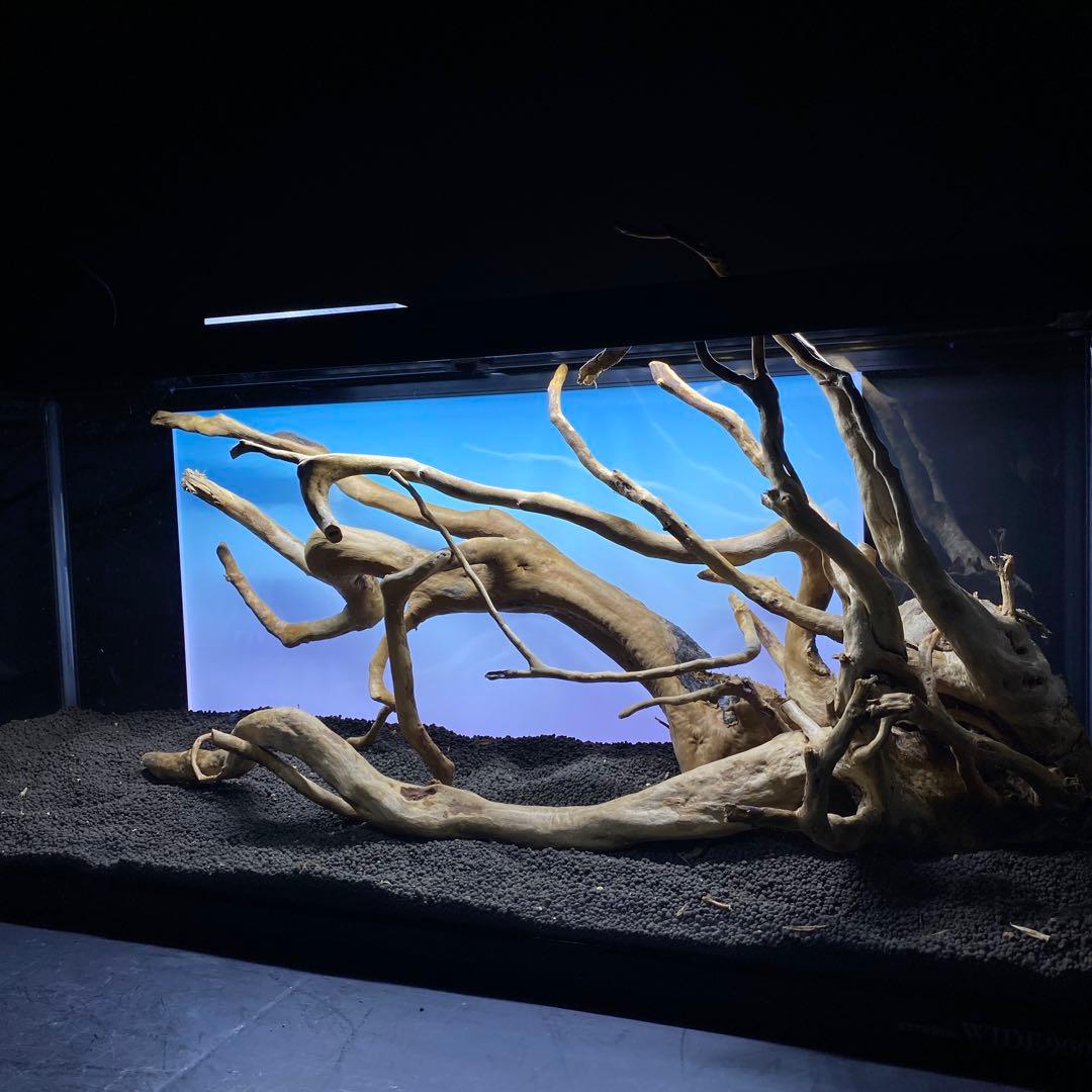 MDW-6358 ブランチウッド3本セット　90cm以上水槽用流木セット　枝流木