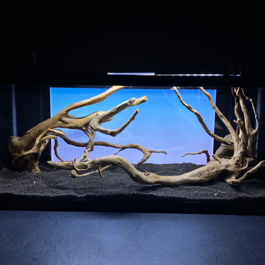 MDW-6358 ブランチウッド3本セット　90cm以上水槽用流木セット　枝流木
