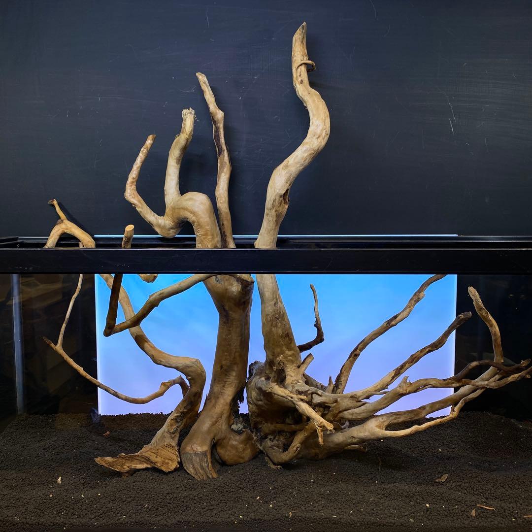 MDW-6358 ブランチウッド3本セット　90cm以上水槽用流木セット　枝流木