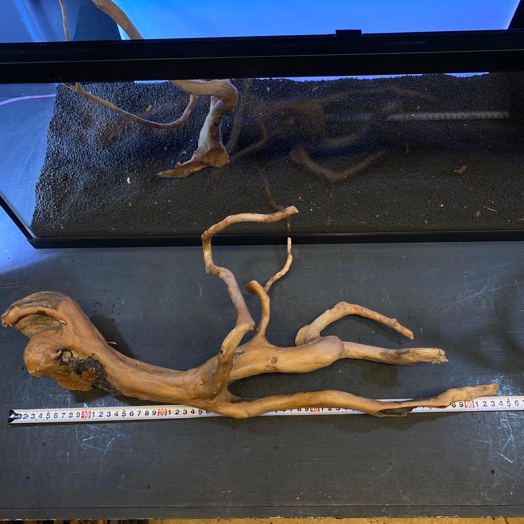 MDW-6358 ブランチウッド3本セット　90cm以上水槽用流木セット　枝流木