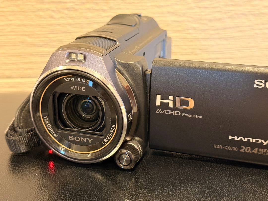 SONY ハンディカム　HDR-CX630V 純正ケース予備バッテリー付
