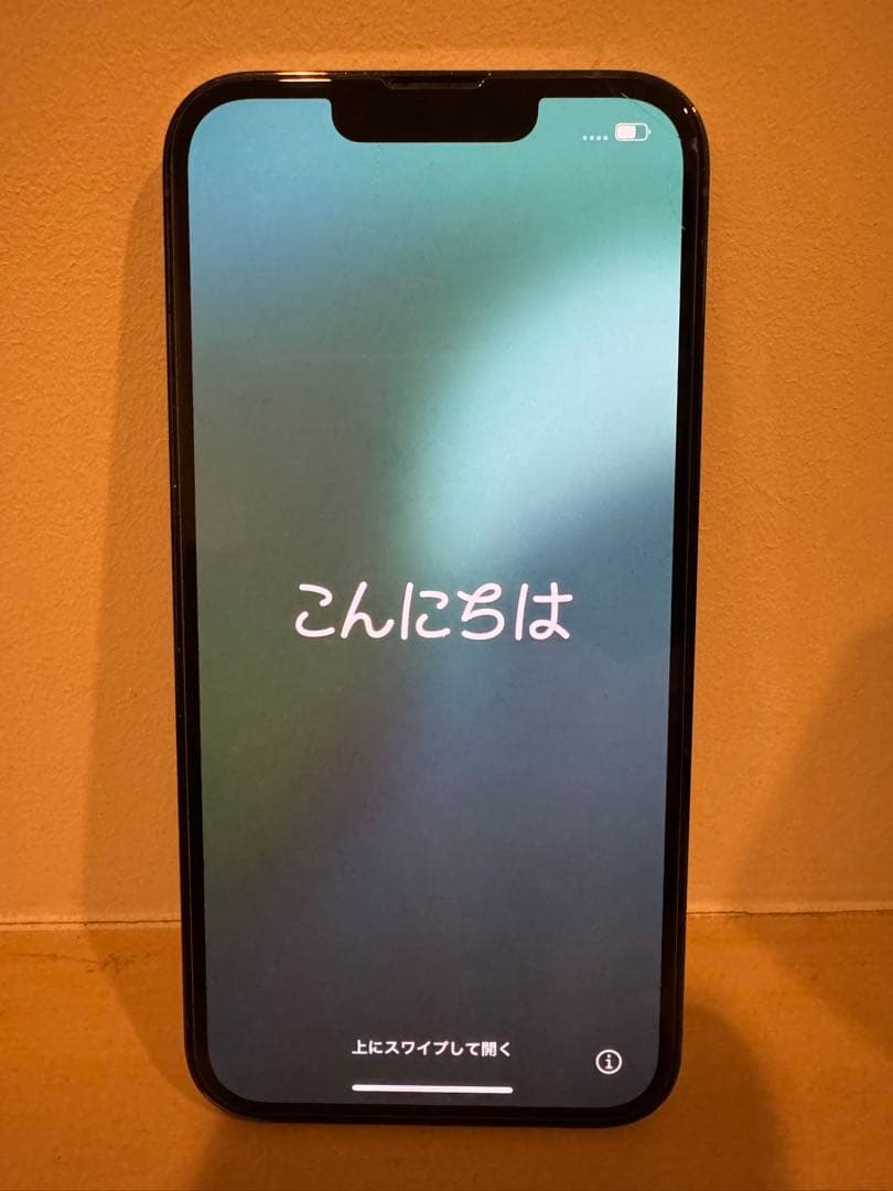 専用　iPhone 13 Pro 256GB SIMフリー背面ひび割れ動作問題無