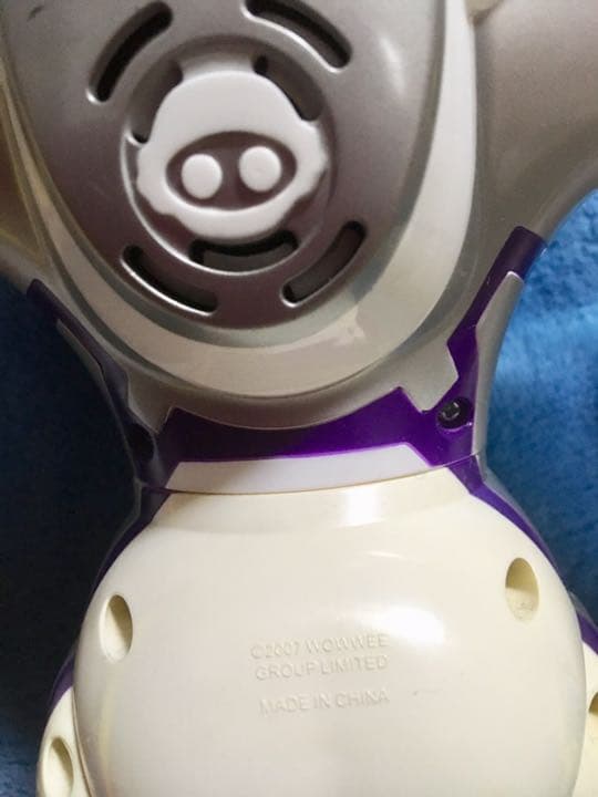 フェミサピエン