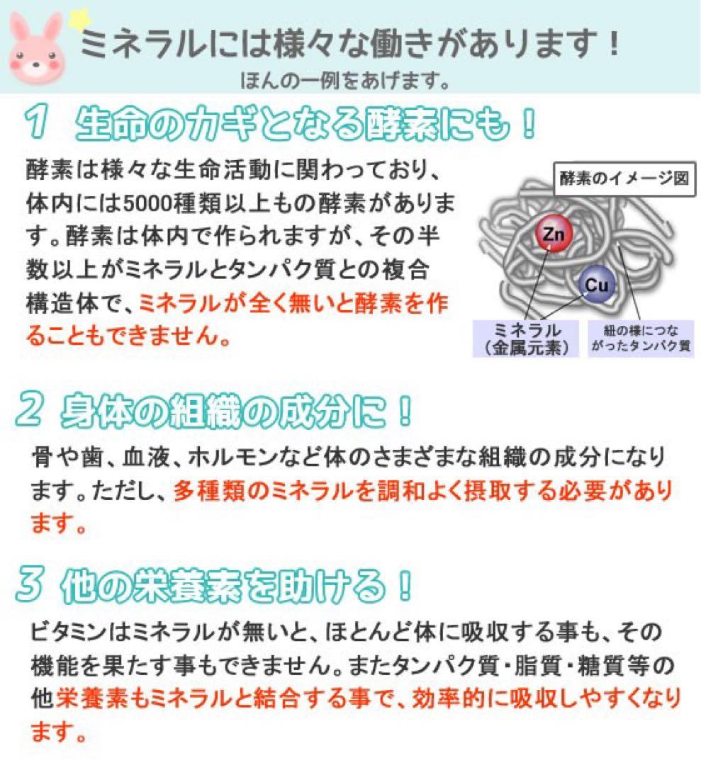 【農薬添加物対策】楽天売上1位⭐︎希望の命水　2本セット
