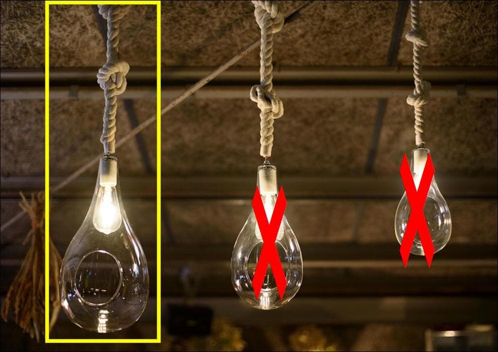 〈即購入可・現状渡し〉ボタニックライト ハンギング ライト 点灯確認済 電球無