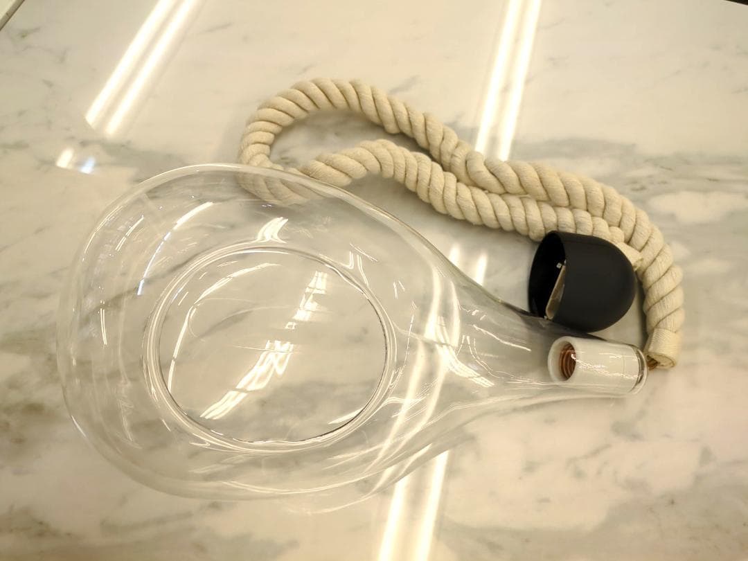 〈即購入可・現状渡し〉ボタニックライト ハンギング ライト 点灯確認済 電球無